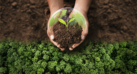 Sustainability Calculator: The ROI of Sustainable AV Design