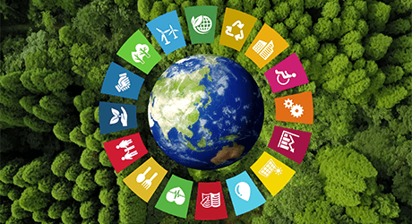 Sustainability around the world